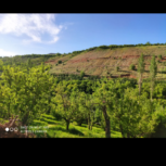 زمین کارگاهی 150 متر