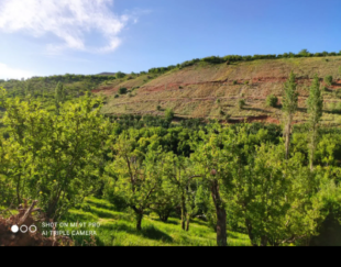 زمین کارگاهی 150 متر