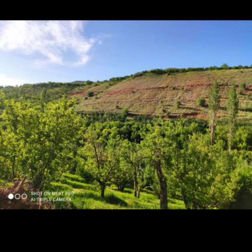 زمین کارگاهی 150 متر