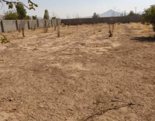 فروش یک قطعه زمین باغ شهری