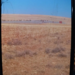 زمین باغ شهری