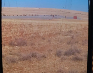 زمین باغ شهری